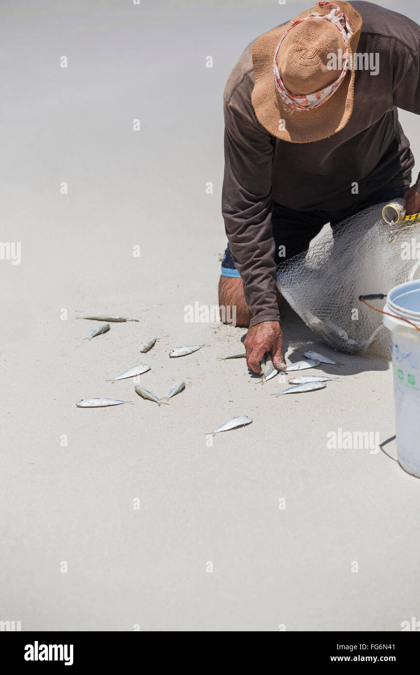 A Cuban man collects his catch of fish off the sand on the beach; Varadero, Cuba Stock Photo