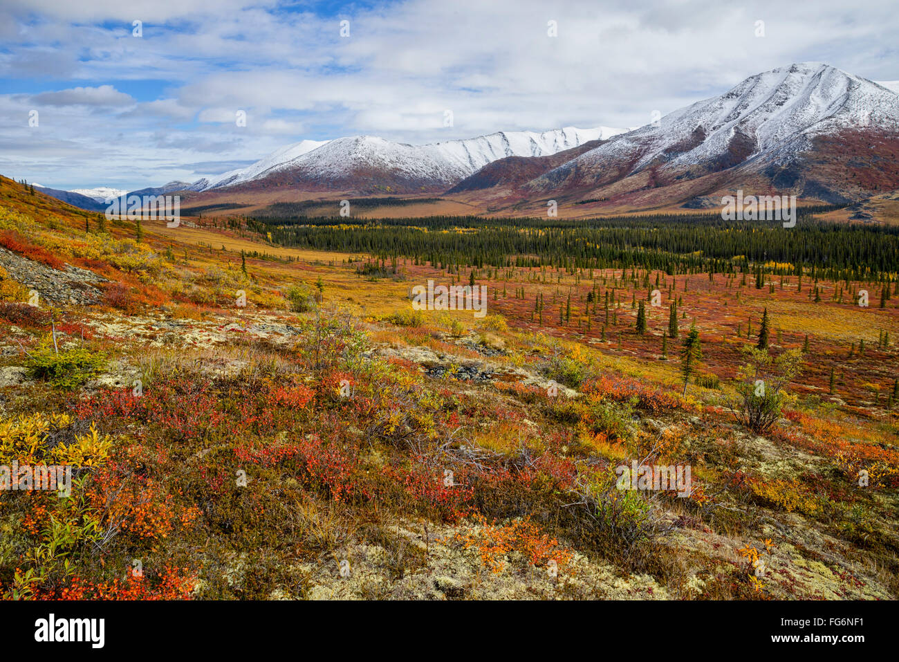 Ogilvie Mountains in autumn along the Dempster Highway; Yukon, Canada Stock Photo