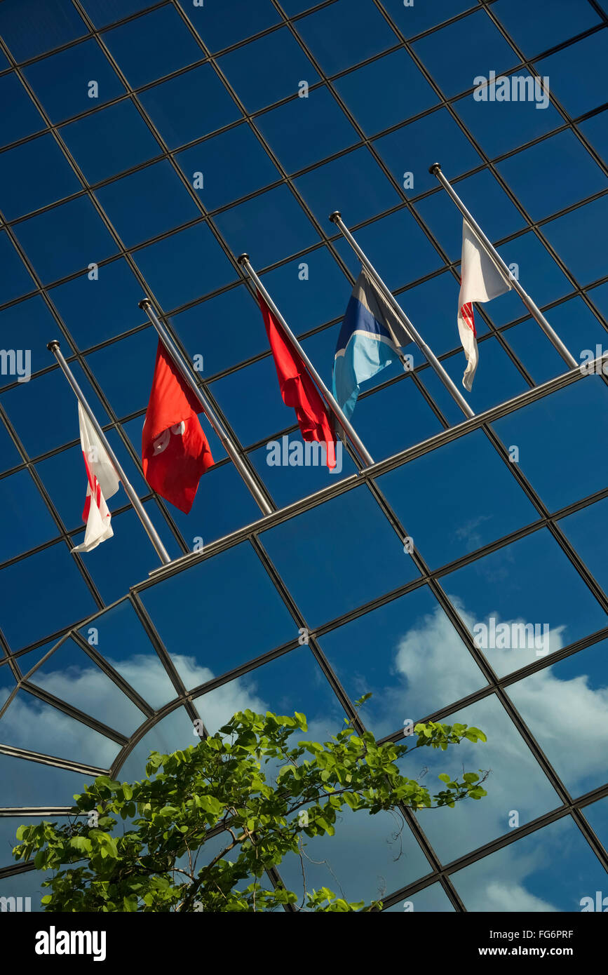 Five flags on glass building near tree; Hong Kong, China Stock Photo