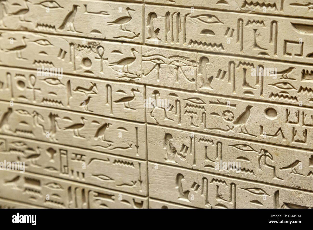 Florence Inscriptions Florence museum of archeology hi-res stock photography and images - Alamy