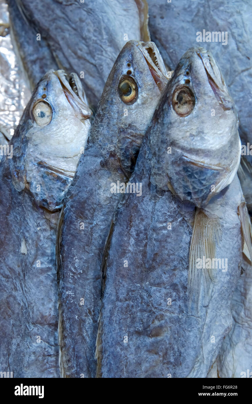 Three dried bluefish (Pomatomus saltatrix) in wet market; Hong Kong, China Stock Photo