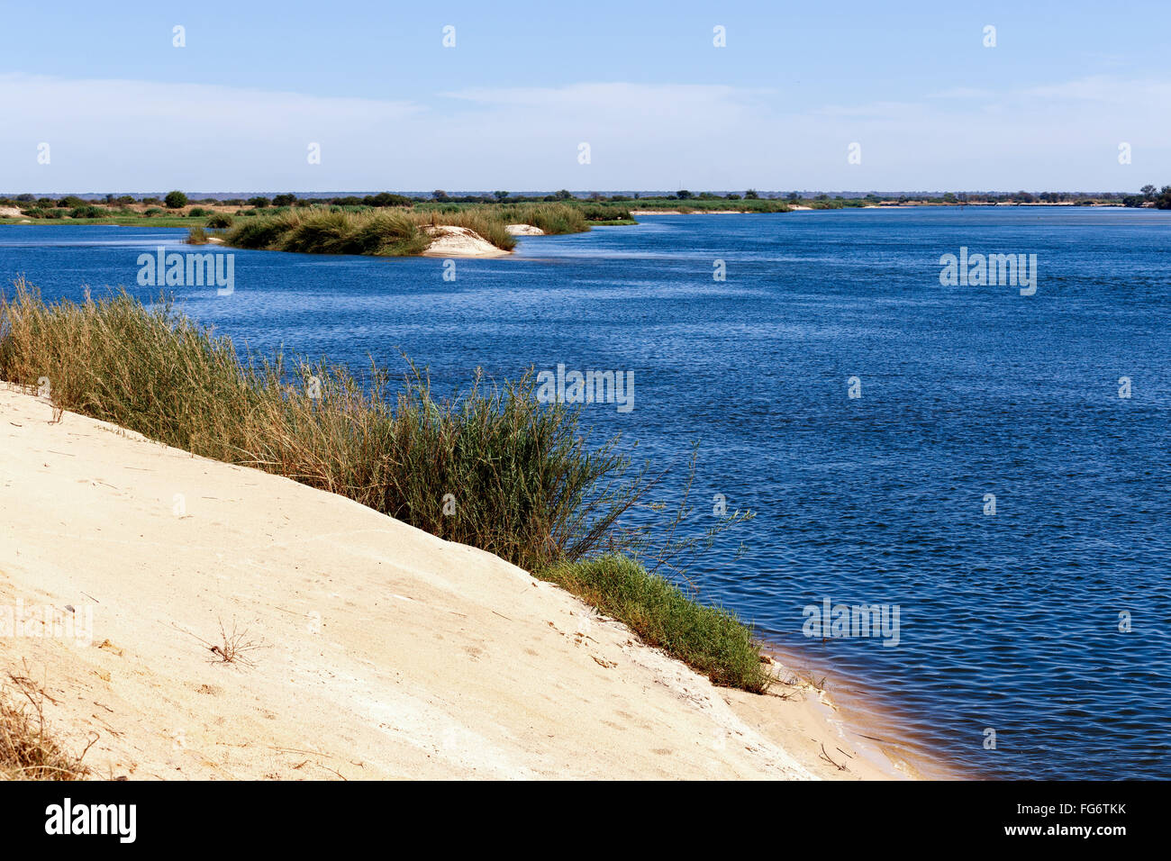 bank of the Zambezi river fourthlongest river in Africa, Caprivi region, Namibia Stock Photo