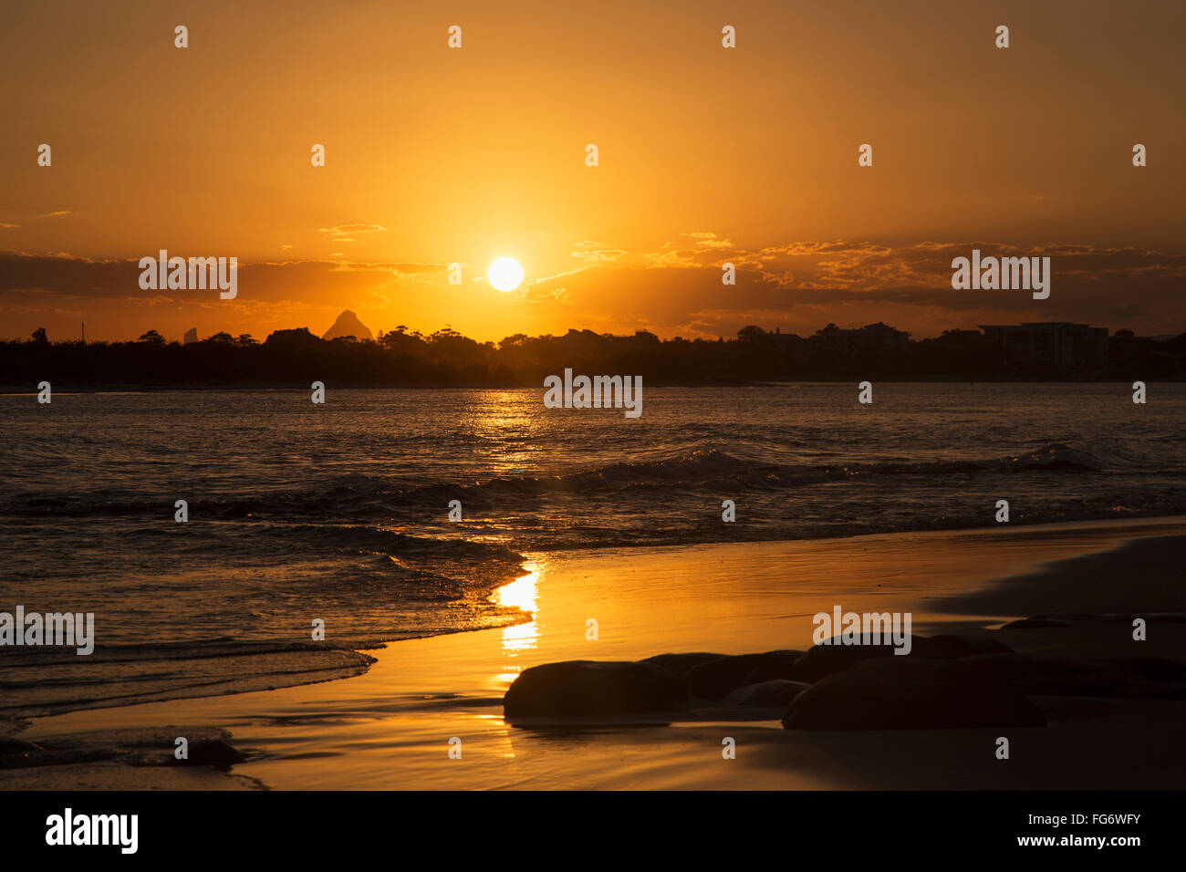 A golden sun sets over silhouetted trees and reflects on the wet beach along the coast; Caloundra, Queensland, Australia Stock Photo