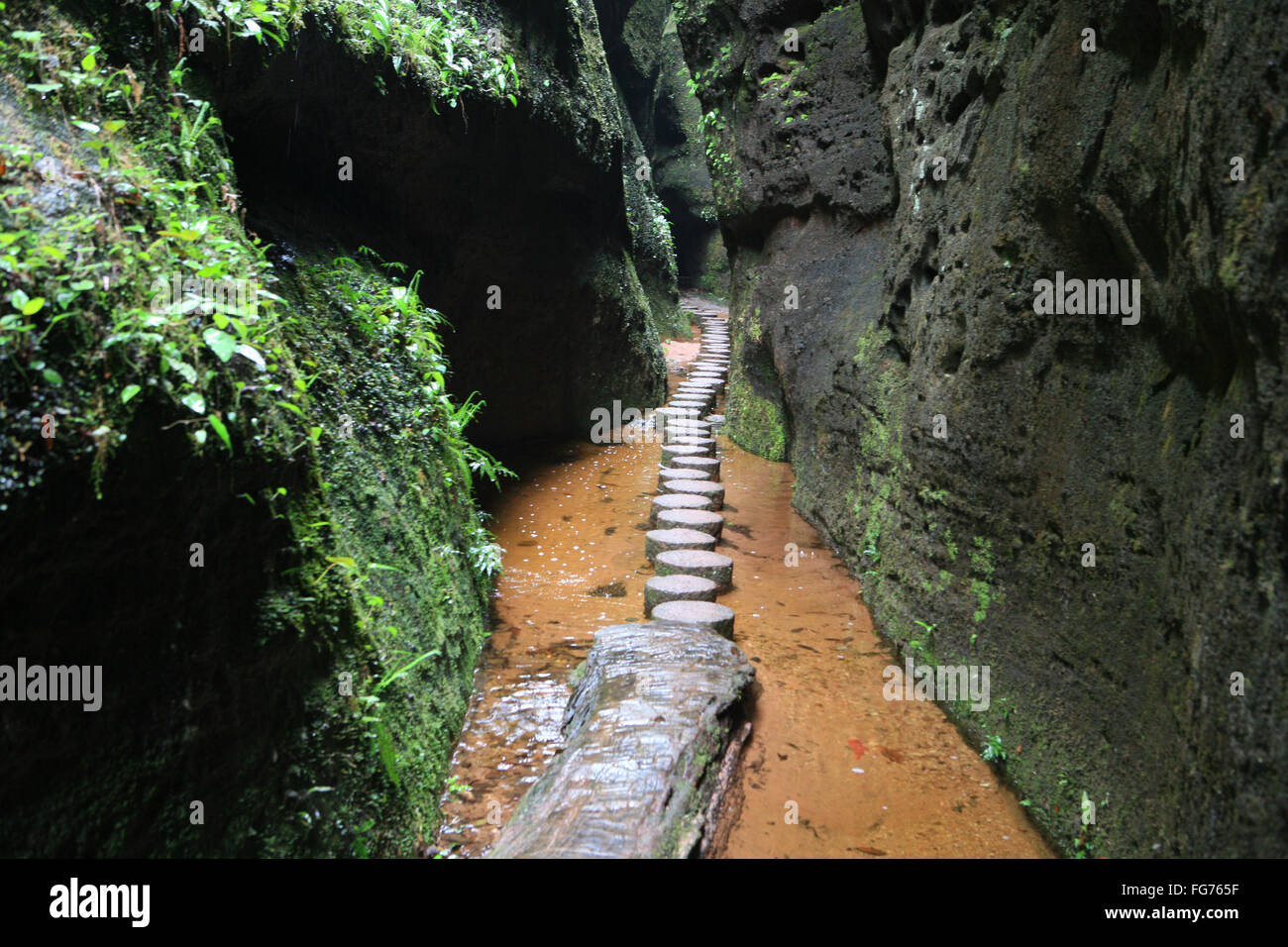 Taining hi-res stock photography and images - Alamy