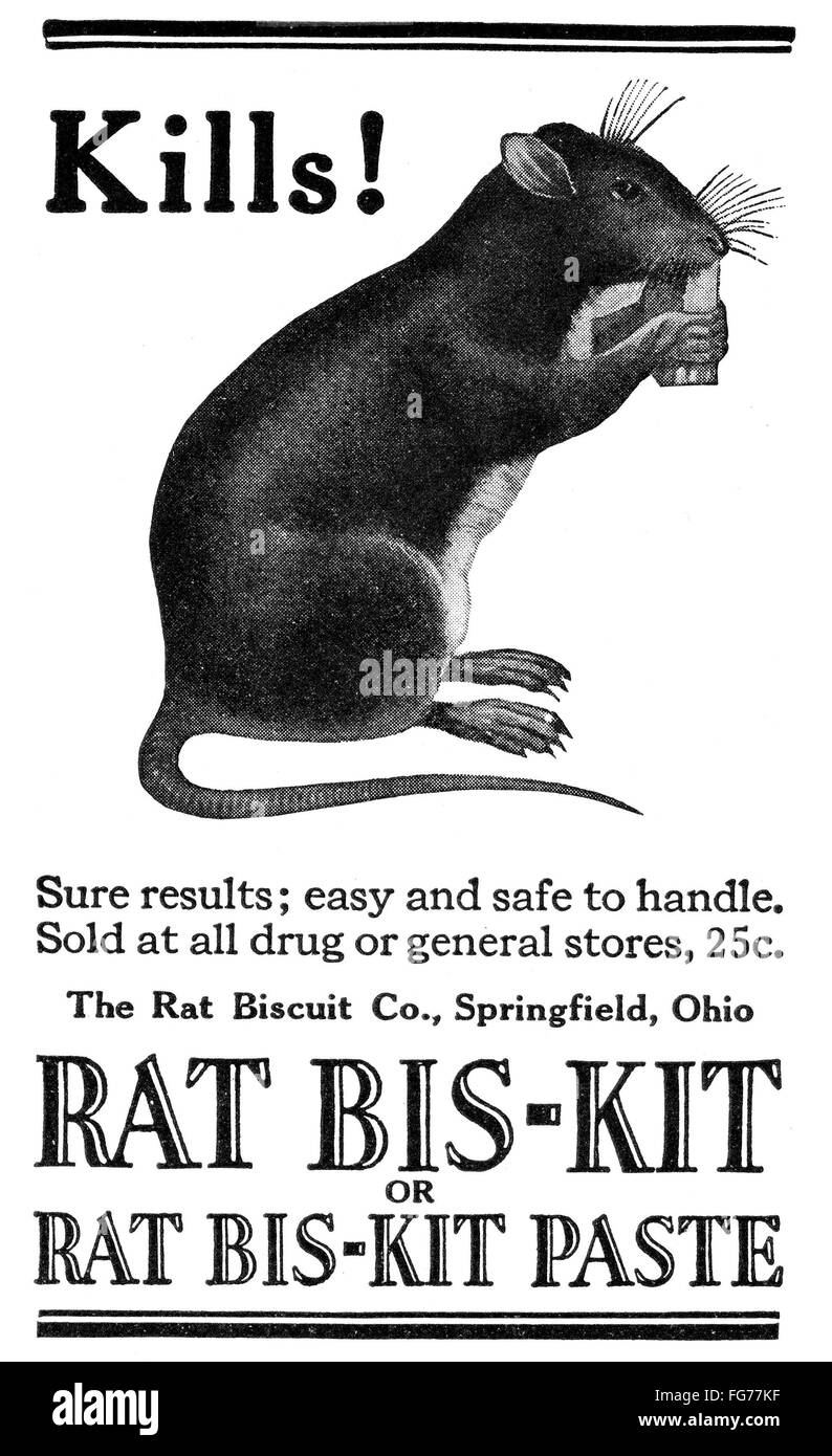 AD RAT POISON, 1922. /nAmerican advertisement for the Rat Biscuit