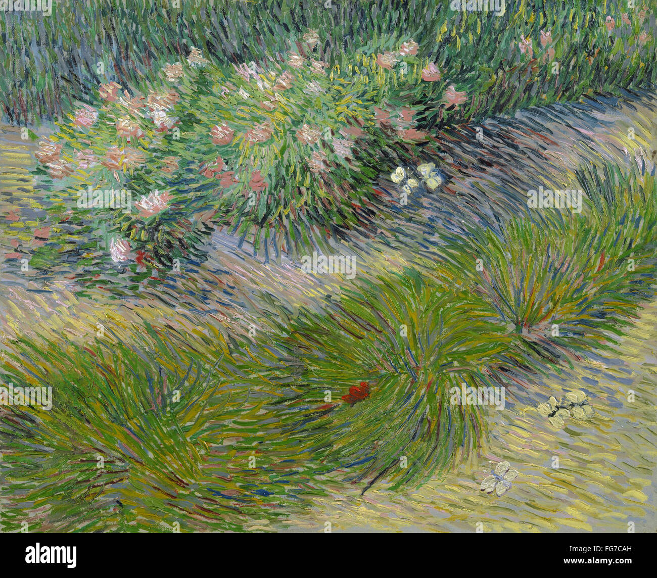 VAN GOGH BUTTERFLIES, 1887. /n'Grass and Butterflies.' Oil on canvas
