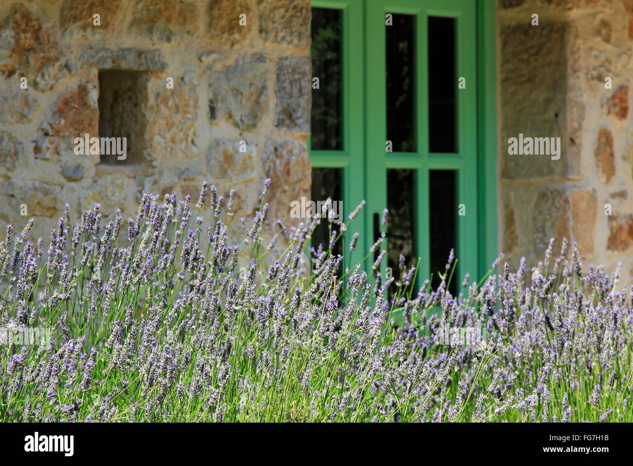 geography / travel, Croatia, Kvarner, Tribalj, Hotel Balatura, lavender, Additional-Rights-Clearance-Info-Not-Available Stock Photo