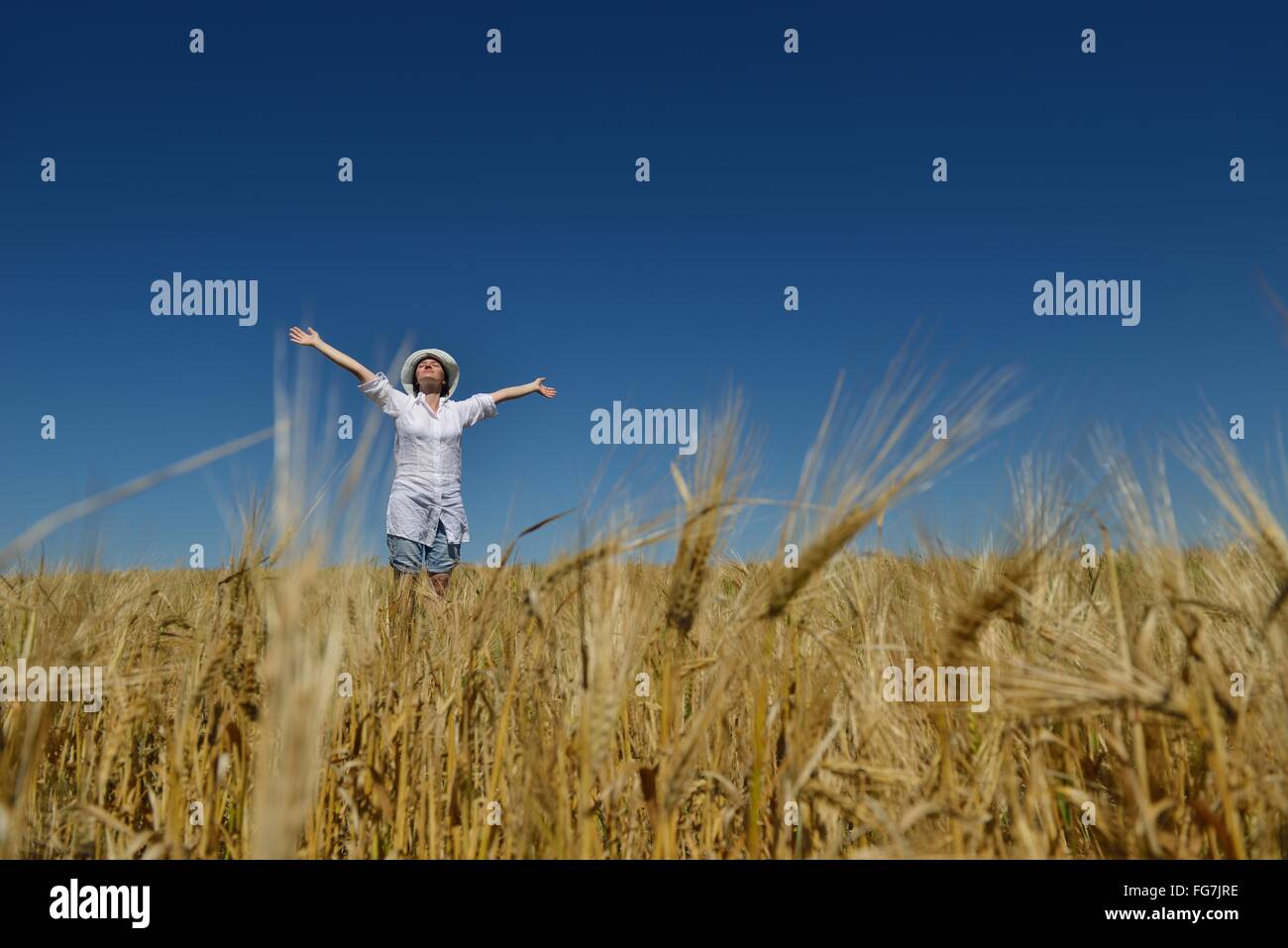 young woman in wheat field at summer Stock Photo - Alamy
