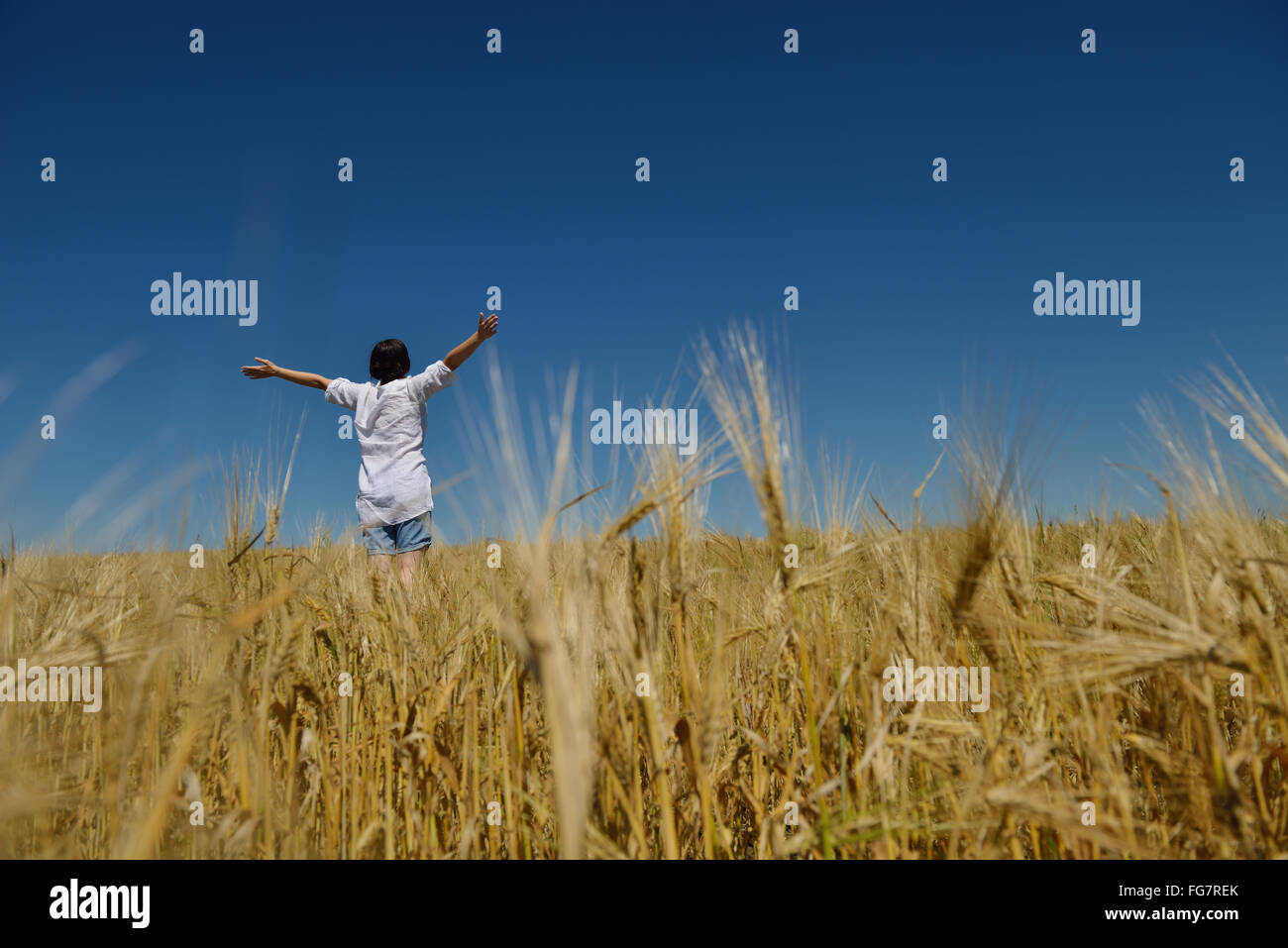 young woman in wheat field at summer Stock Photo - Alamy