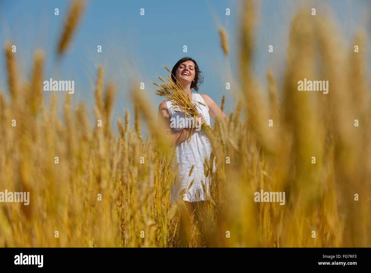 young woman in wheat field at summer Stock Photo - Alamy