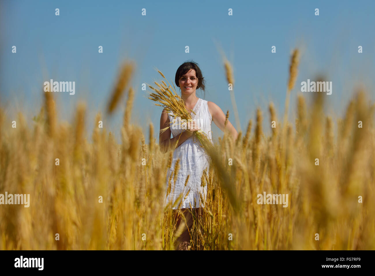 young woman in wheat field at summer Stock Photo - Alamy