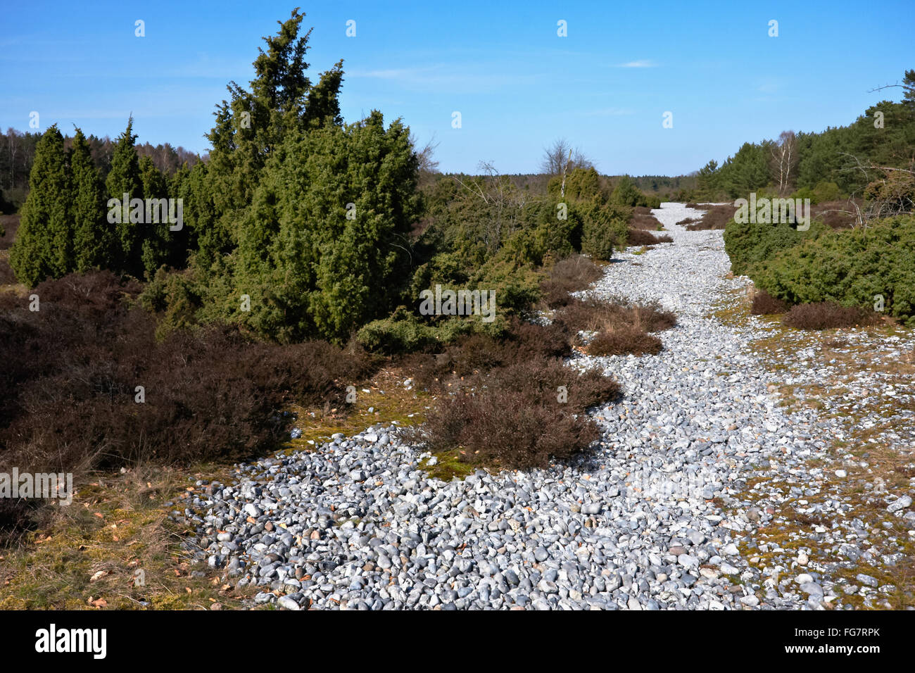 Ruegen flint fields hires stock photography and images Alamy