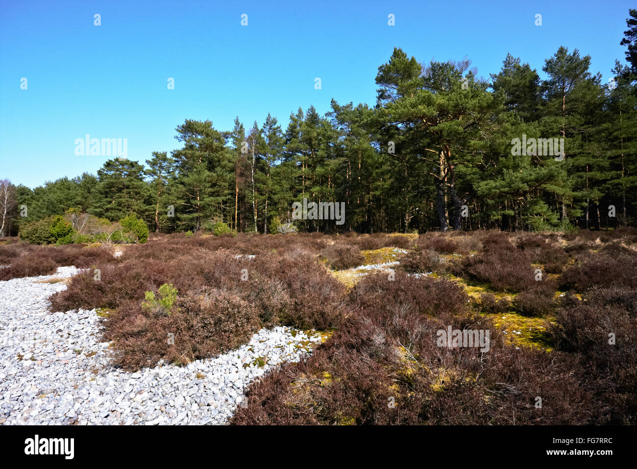 Flint field Stock Photo Alamy