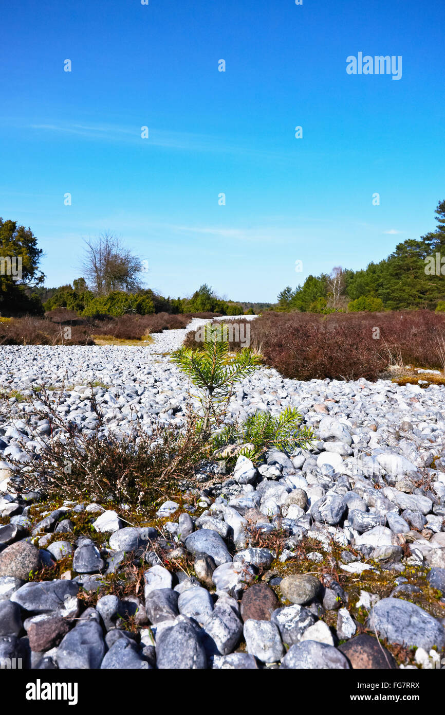 Ruegen flint fields hires stock photography and images Alamy