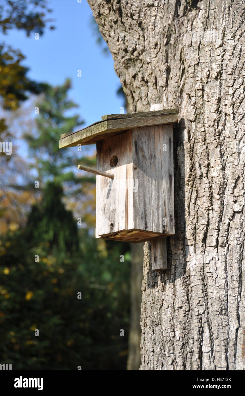 Feeder Bird Wooden Birdhouse Stock Photos Feeder Bird Wooden
