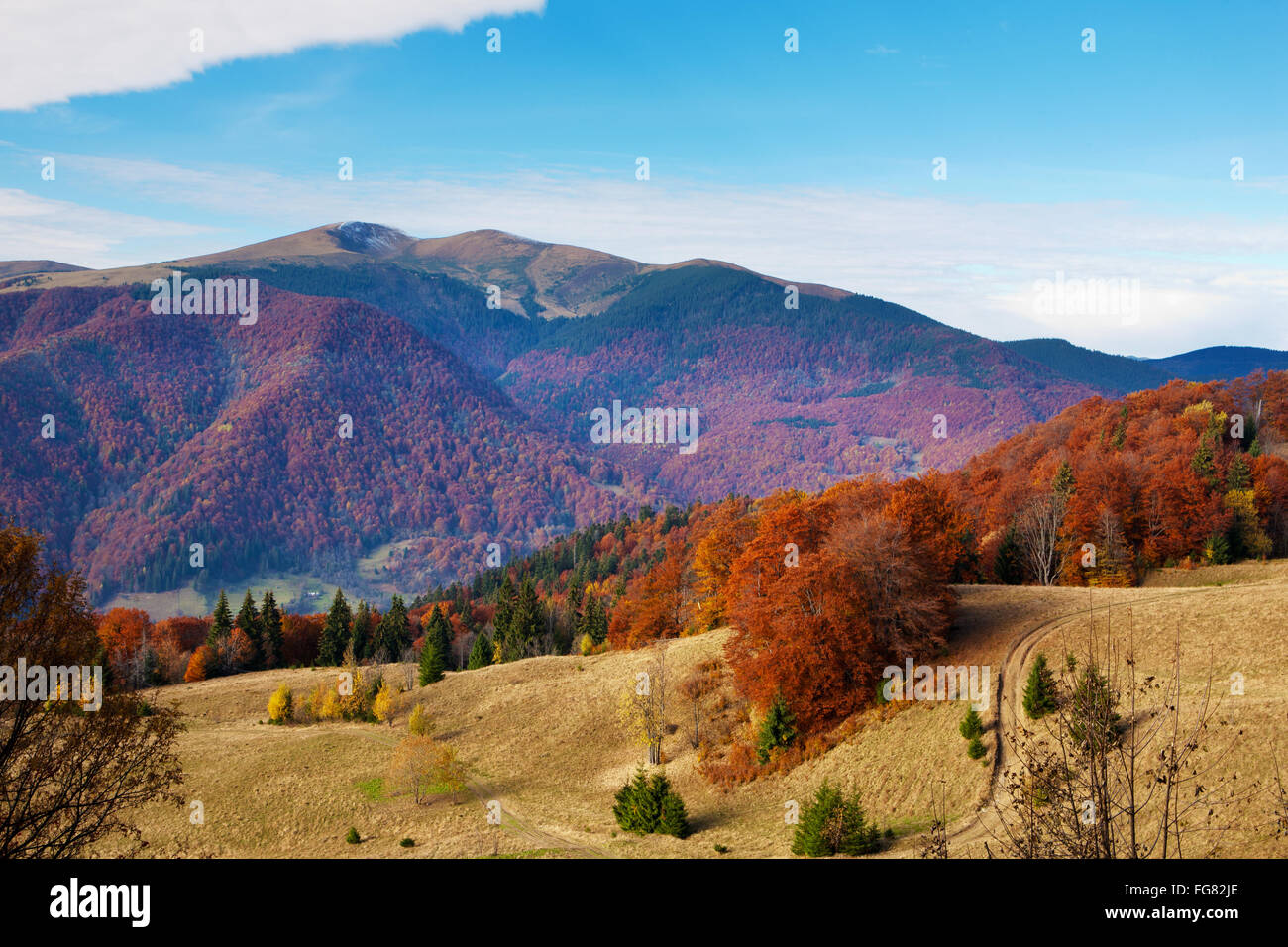 Autumn Carpathian Mountains in evening light Stock Photo - Alamy