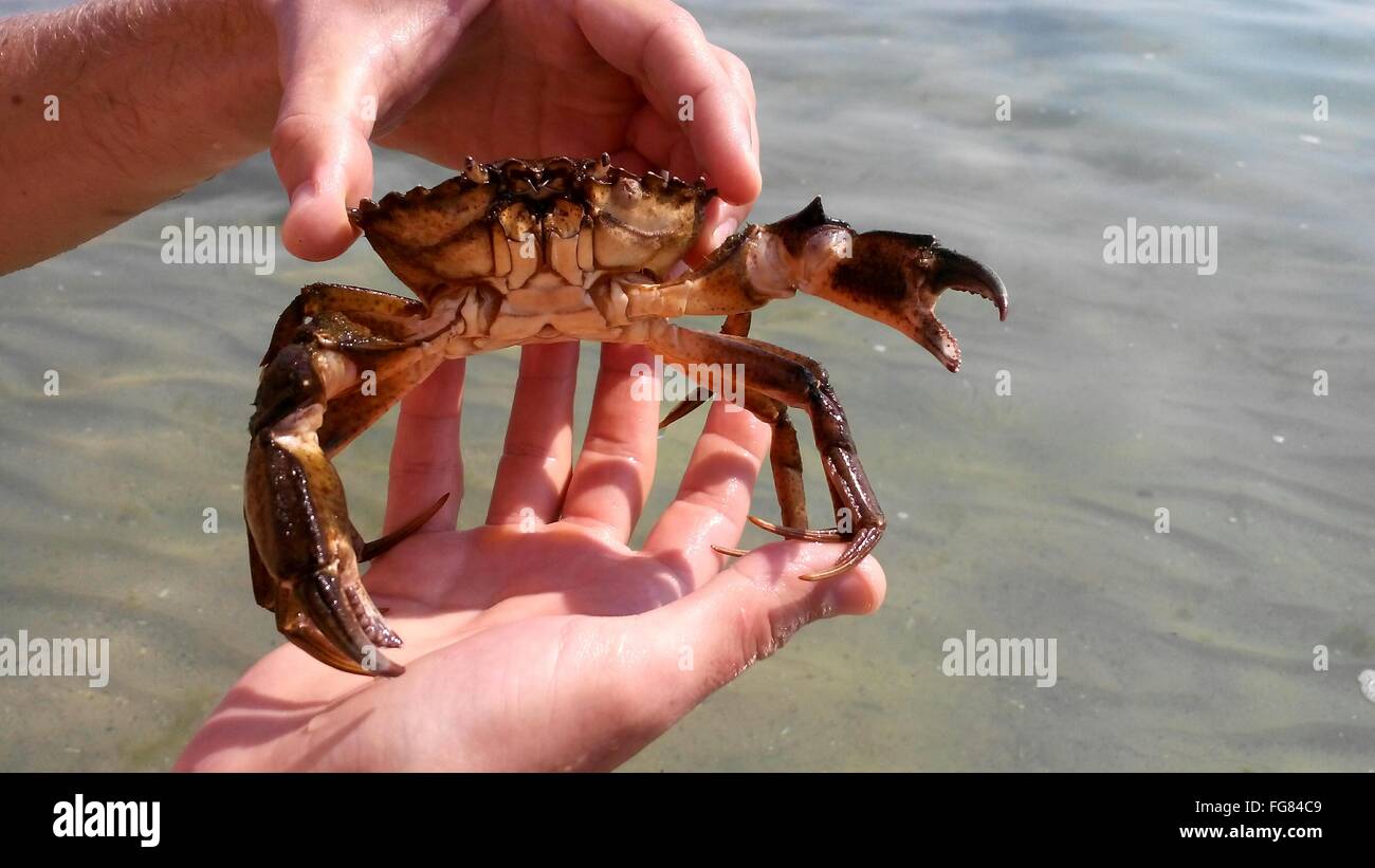 Crab Man Stock Photos & Crab Man Stock Images Alamy