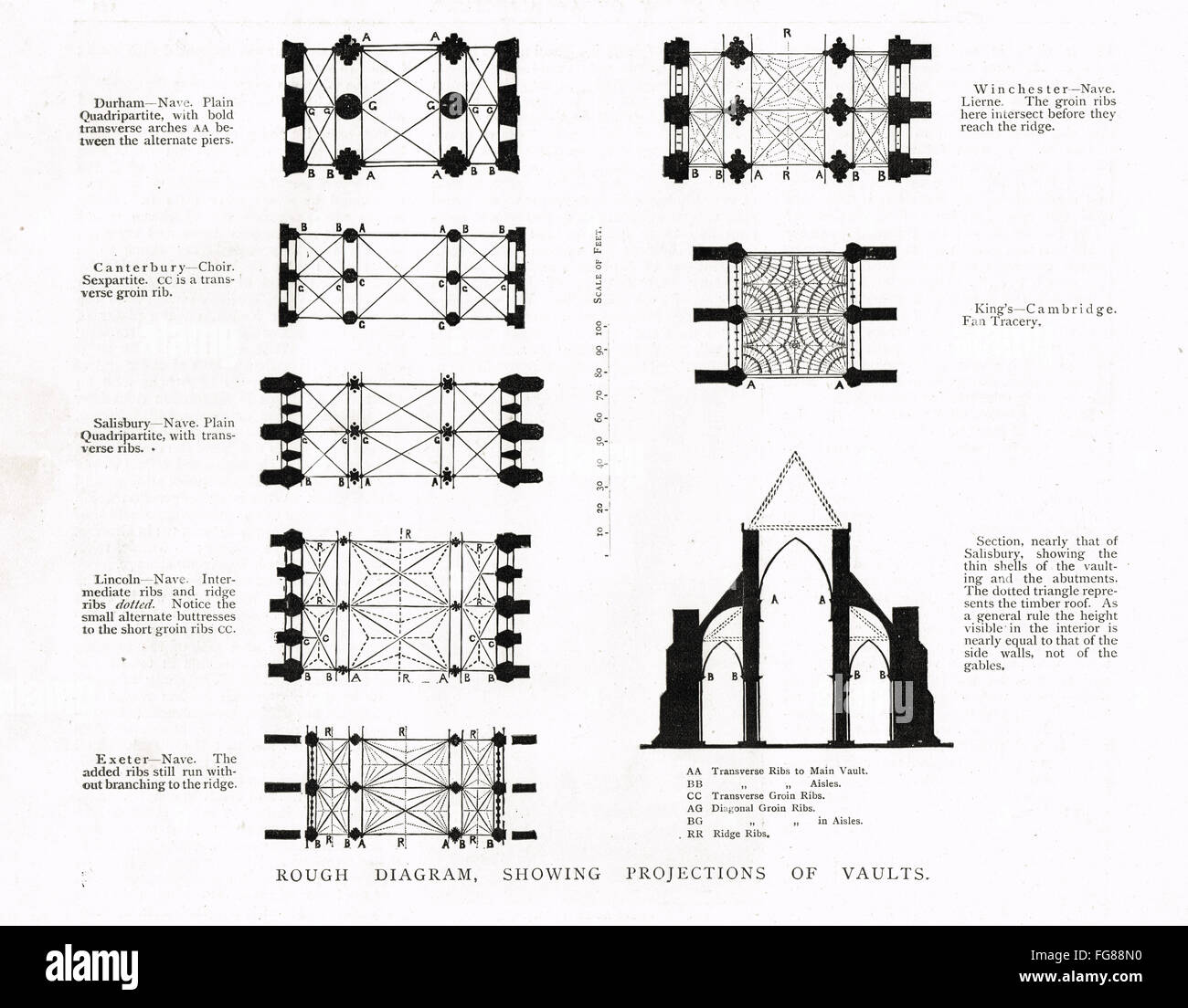1885  Diagram of Cathedral architecture Vaults, Naves, Arches etc Stock Photo