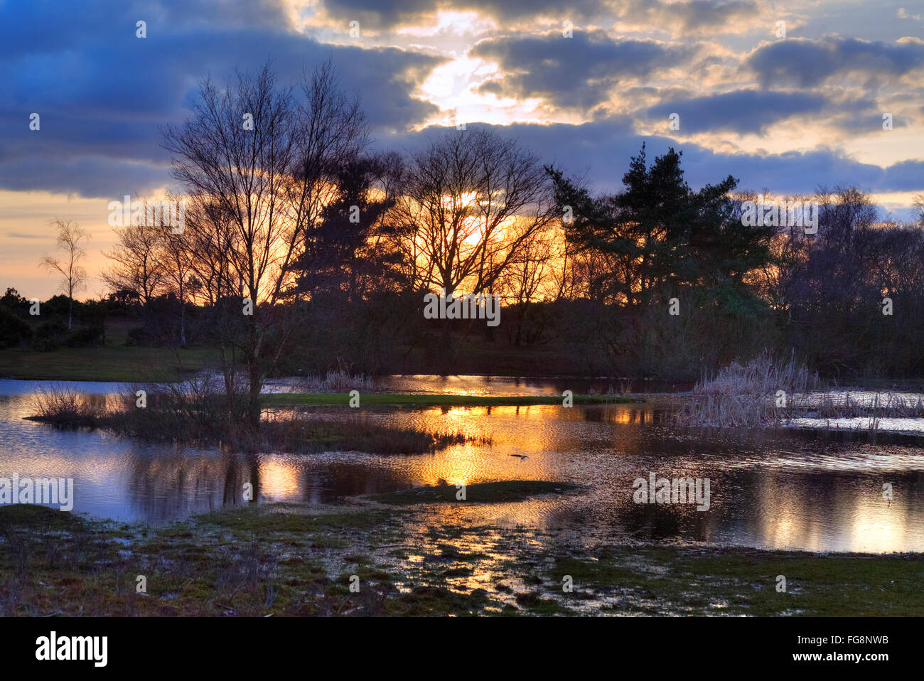sunset in the New Forest at Hatchet Pond, Beaulieu, Hampshire, England, UK Stock Photo