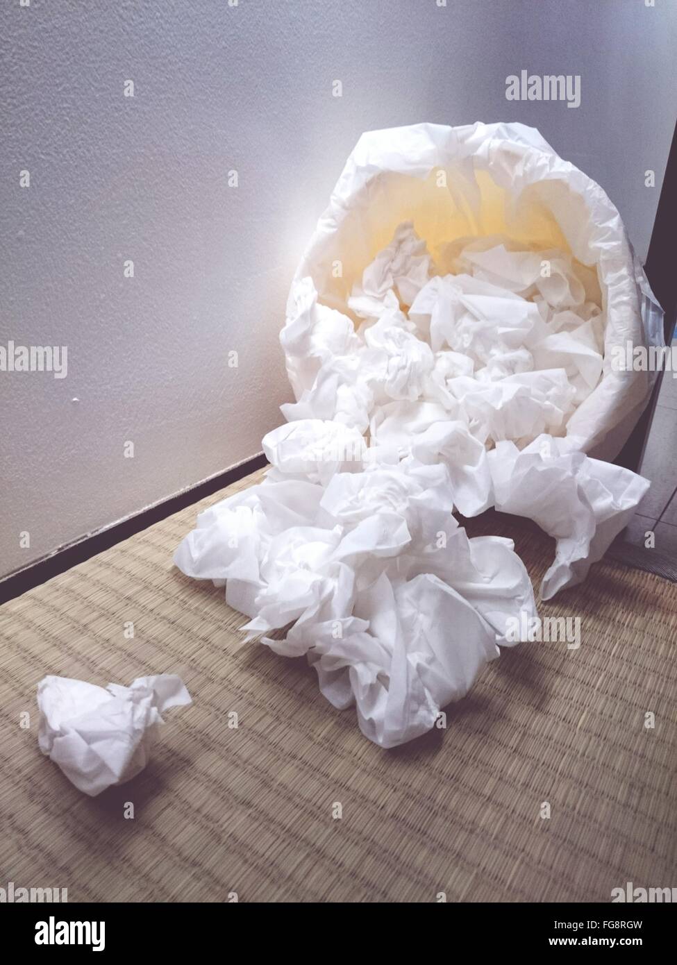 Tissues bin hires stock photography and images Alamy