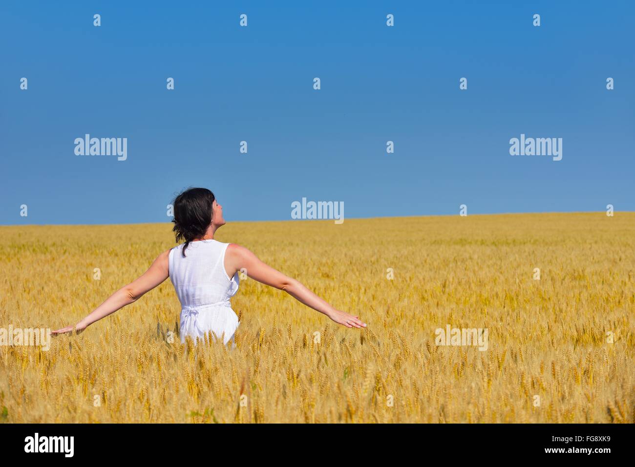young woman in wheat field at summer Stock Photo - Alamy