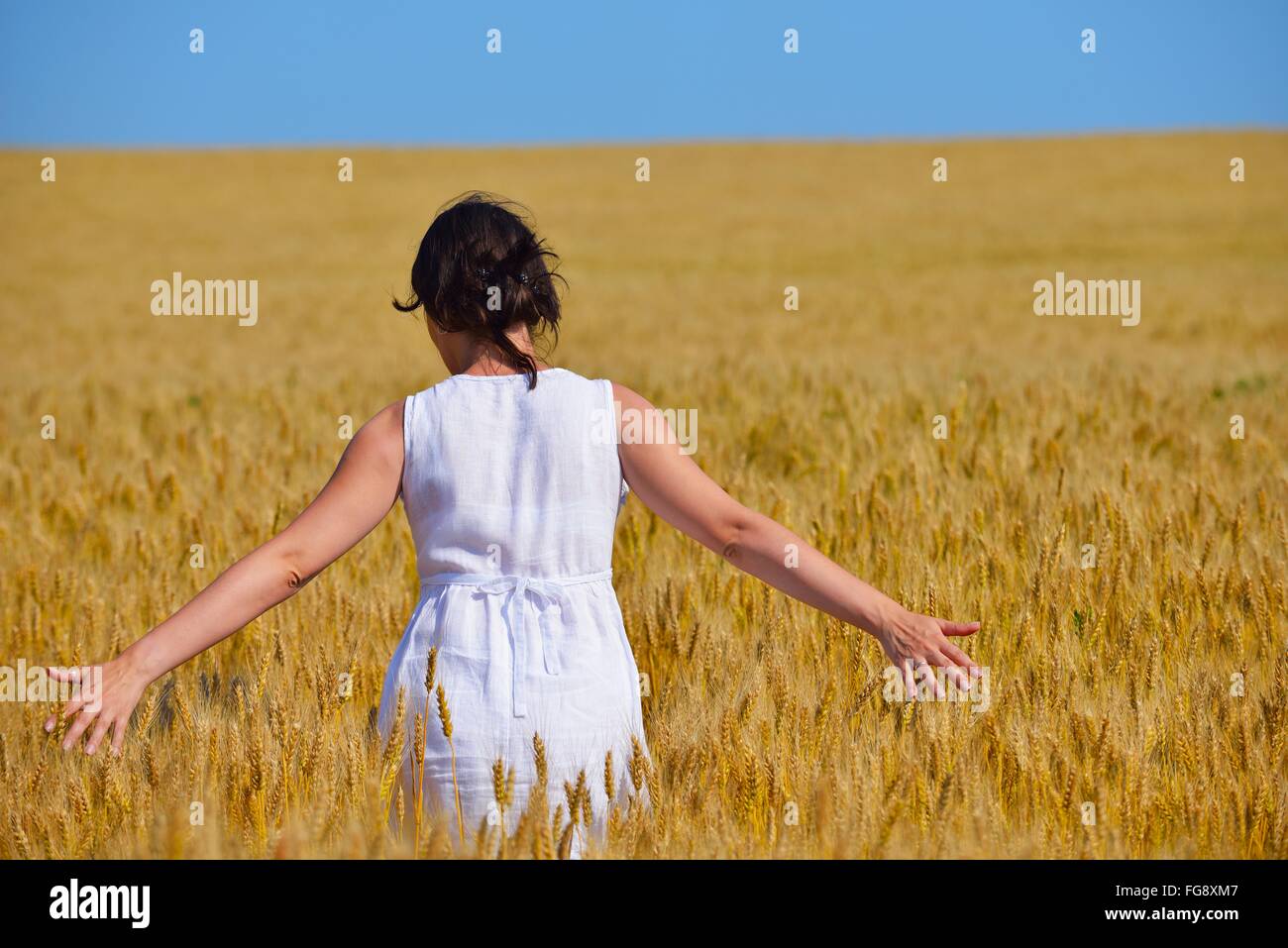 young woman in wheat field at summer Stock Photo - Alamy