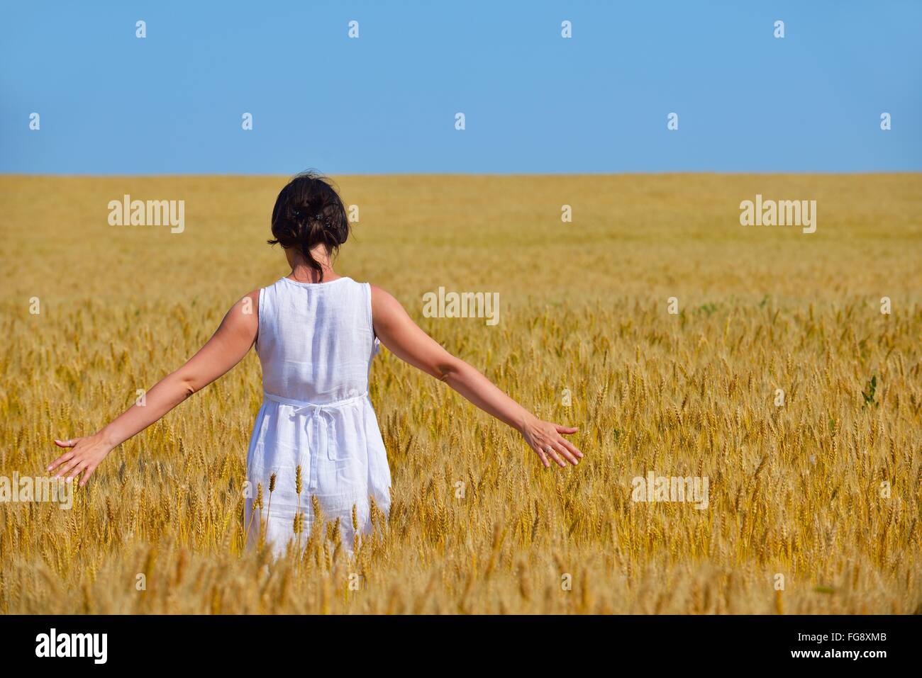 young woman in wheat field at summer Stock Photo - Alamy
