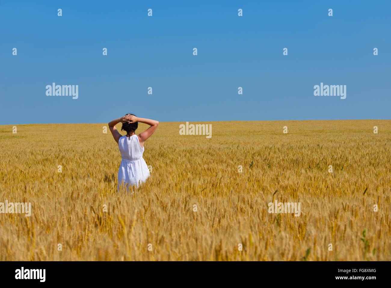 young woman in wheat field at summer Stock Photo - Alamy