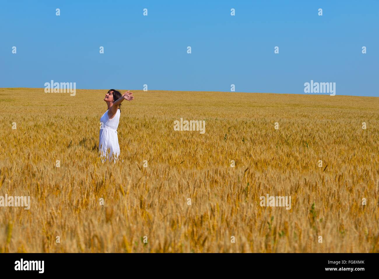 young woman in wheat field at summer Stock Photo - Alamy
