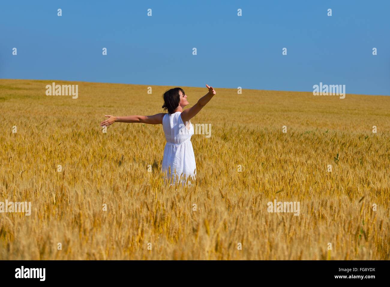 young woman in wheat field at summer Stock Photo - Alamy