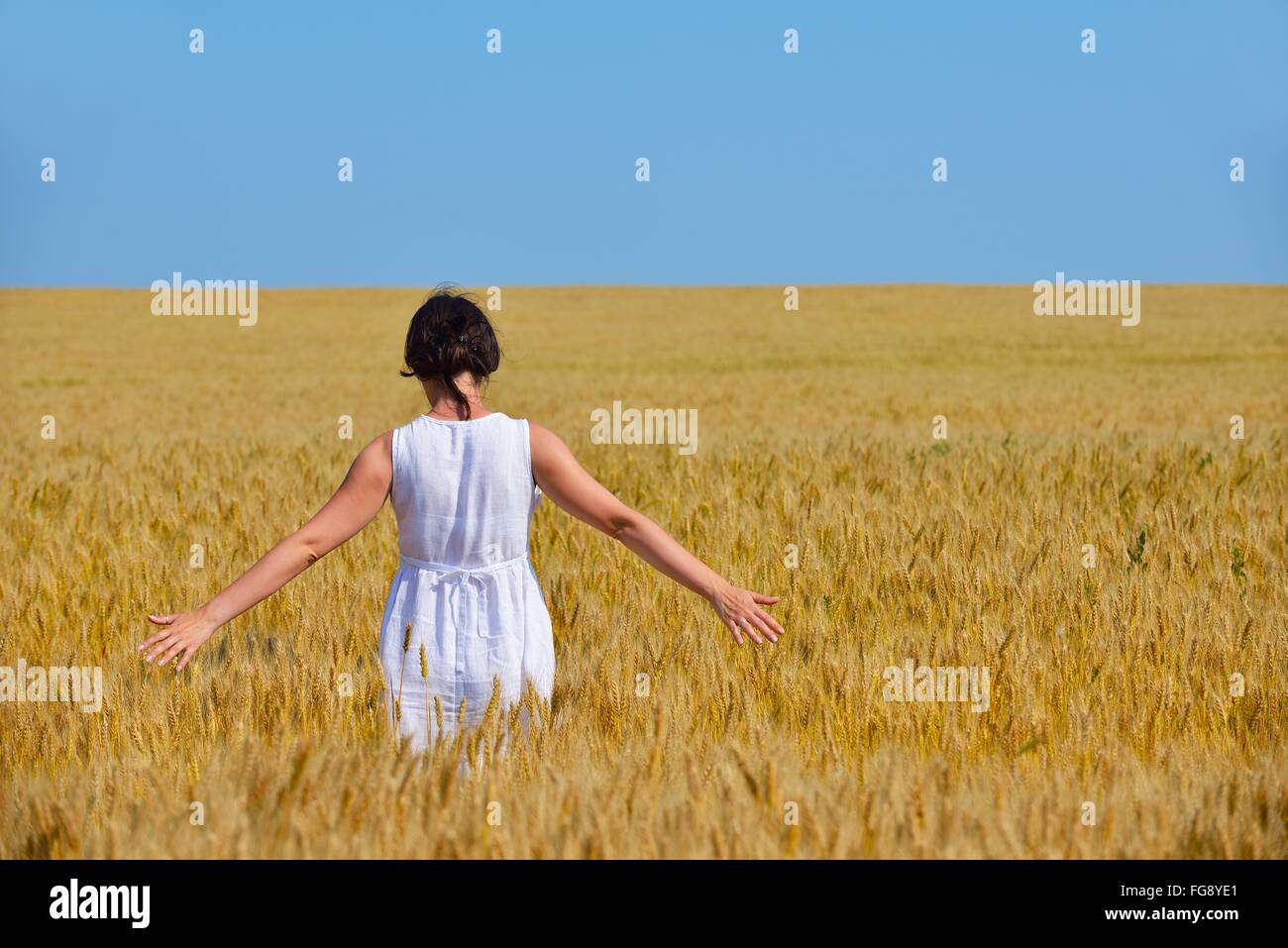 young woman in wheat field at summer Stock Photo - Alamy