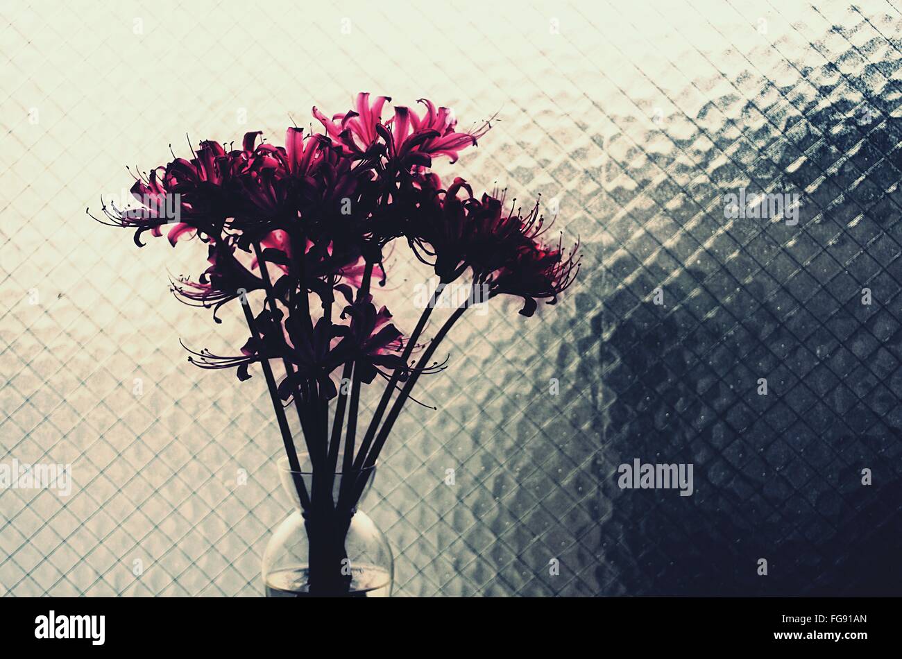 Pink Lilies In Vase Against Glass Stock Photo