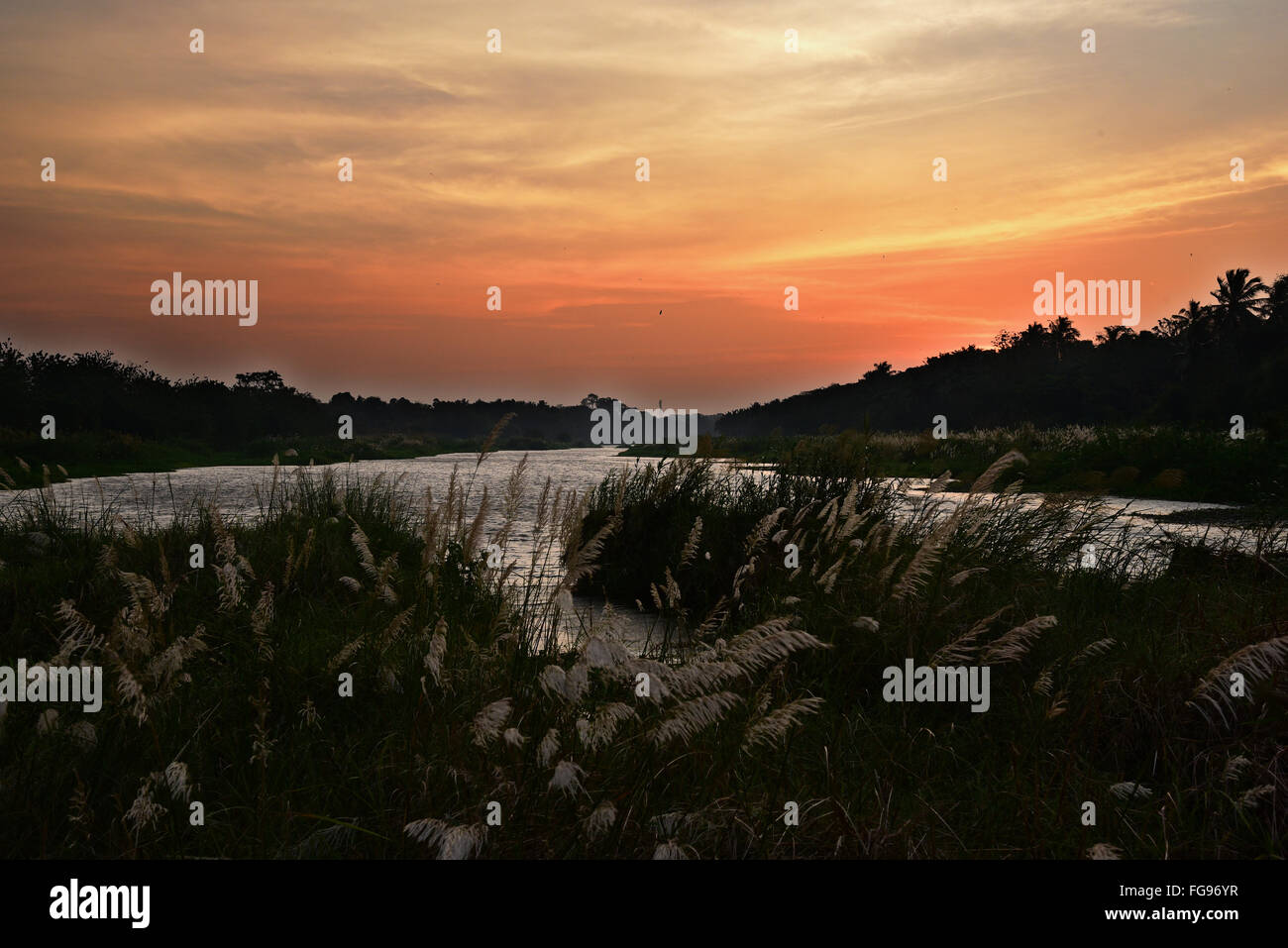 Sunrise in backwaters in Palakkad, Kerala , India.Beautiful land, sky
