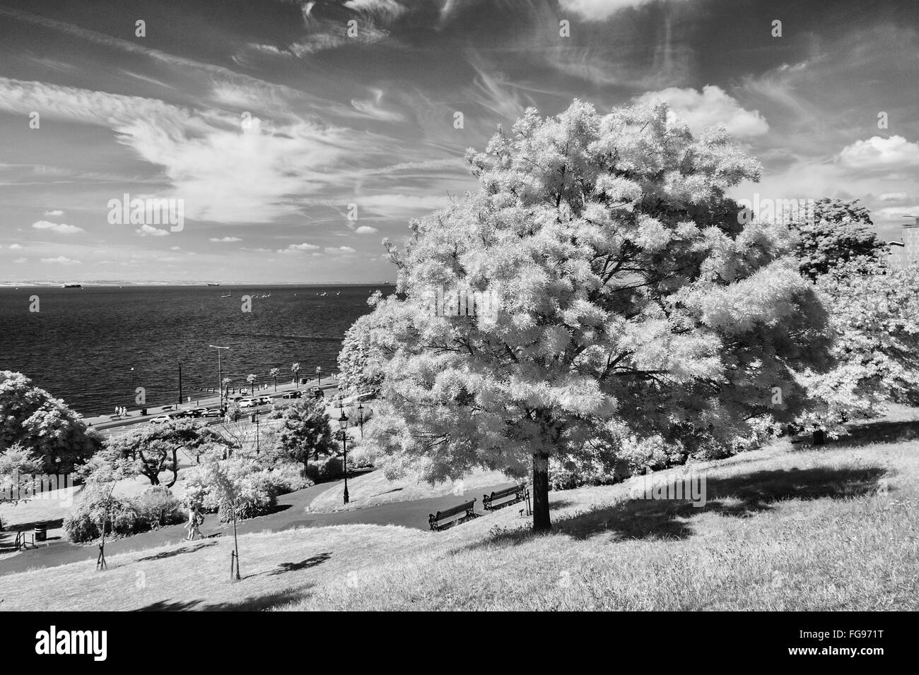 Black and White Infra Red Image on Cliffs at Westcliff-on-Sea Stock Photo