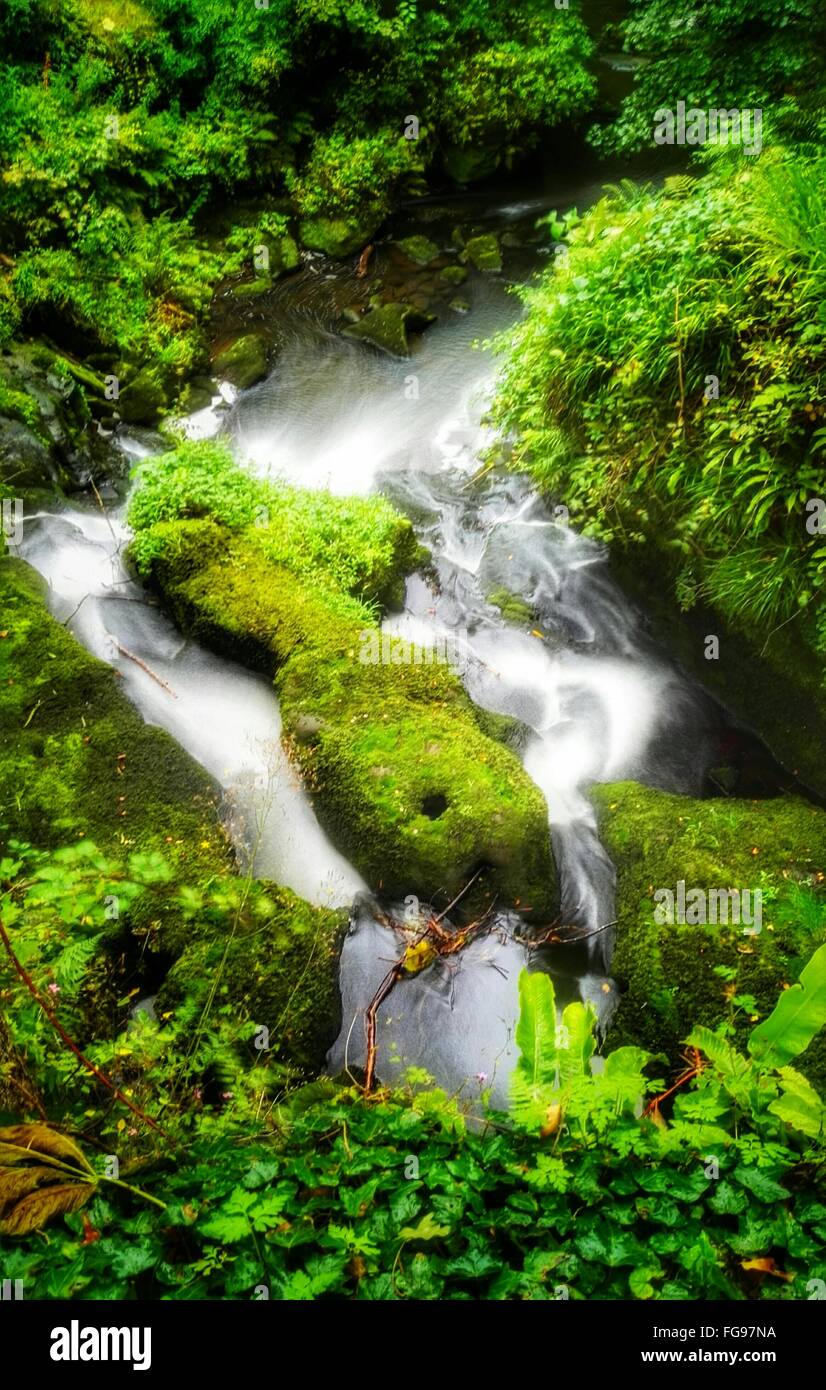 Giffnock park hires stock photography and images Alamy