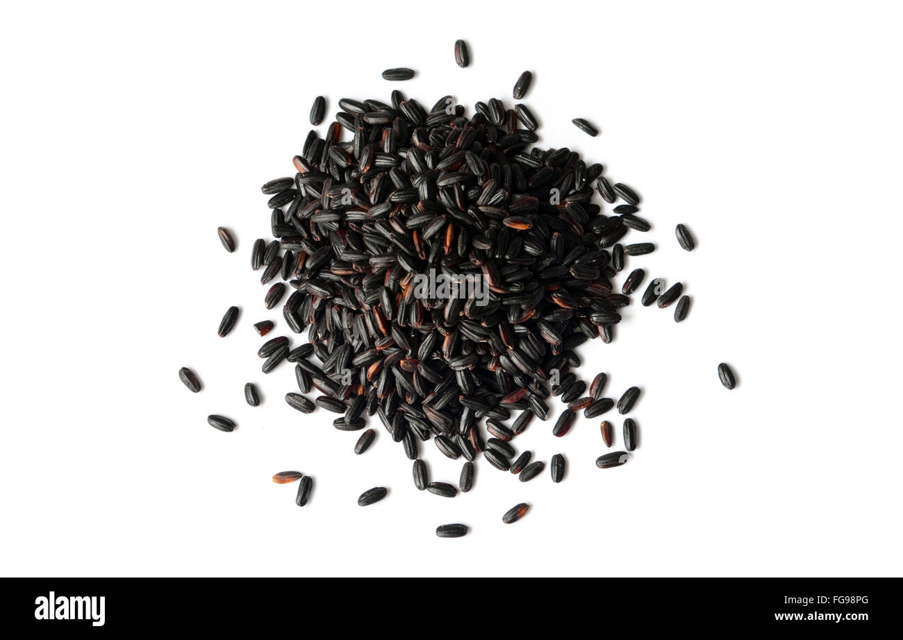 Uncooked, organic Black Rice, also known as Forbidden Rice Stock Photo