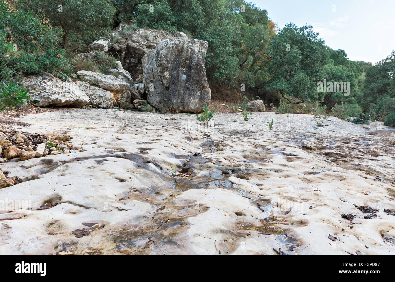 Rock stone israel hi-res stock photography and images - Alamy
