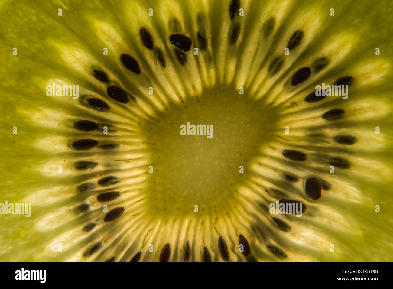 Kiwi Fruit from new zealand sliced Stock Photo Alamy