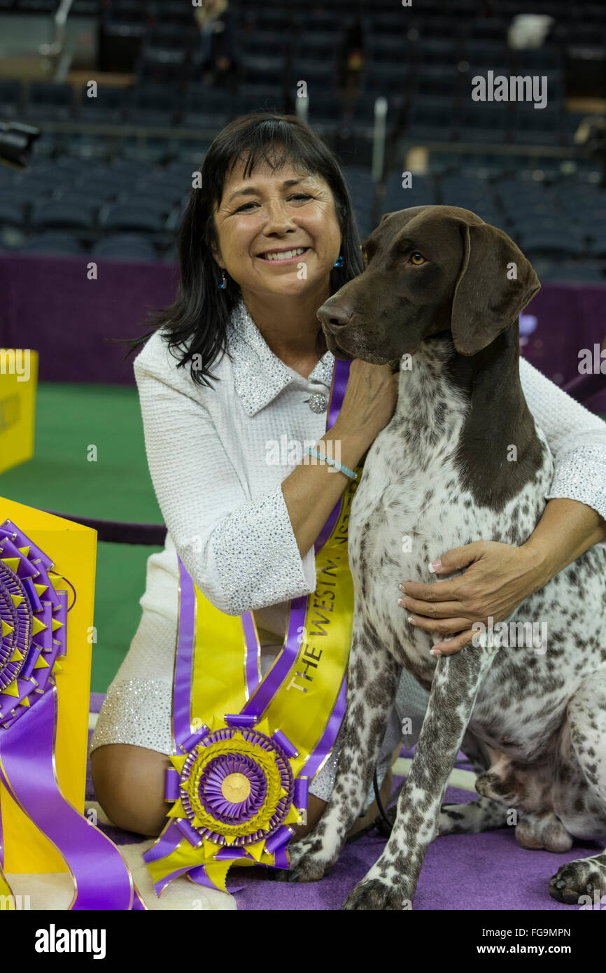 New York, NY - February 16, 2016: Best of Show German shorthaired pointer poses with handler Valerie Nunes-Atkinson at 140 Westminster Kennel Club dog show at Madison Square Garden Stock Photo