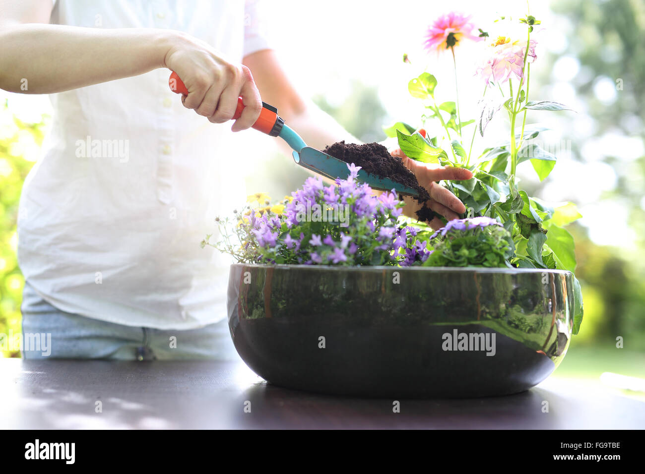 Planting, work in the garden. Female plants in pot plants forming a beautiful composition flower
