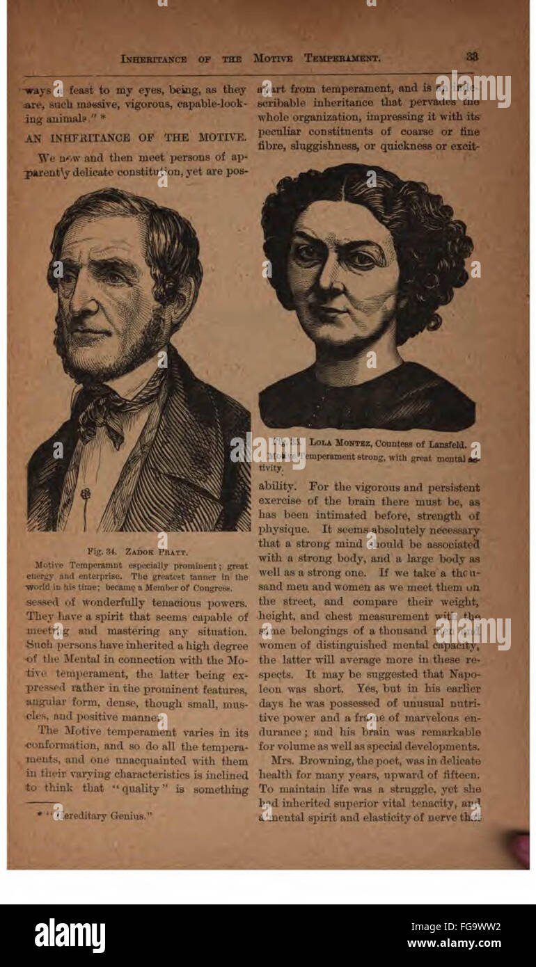 Heads and Faces, and how to Study Them Stock Photo Alamy