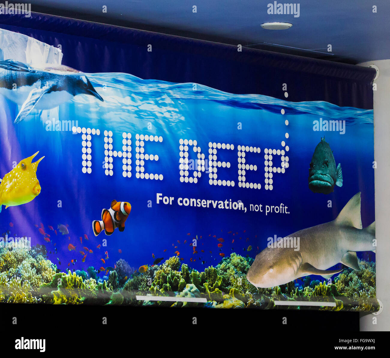 The Deep Aquarium in Hull, East Yorkshire Stock Photo Alamy