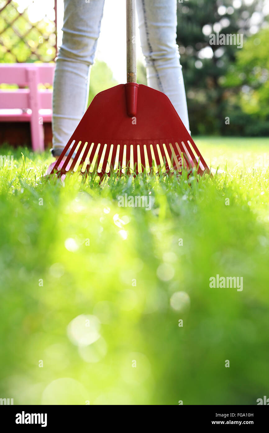 Beautiful green lawn hi-res stock photography and images - Alamy