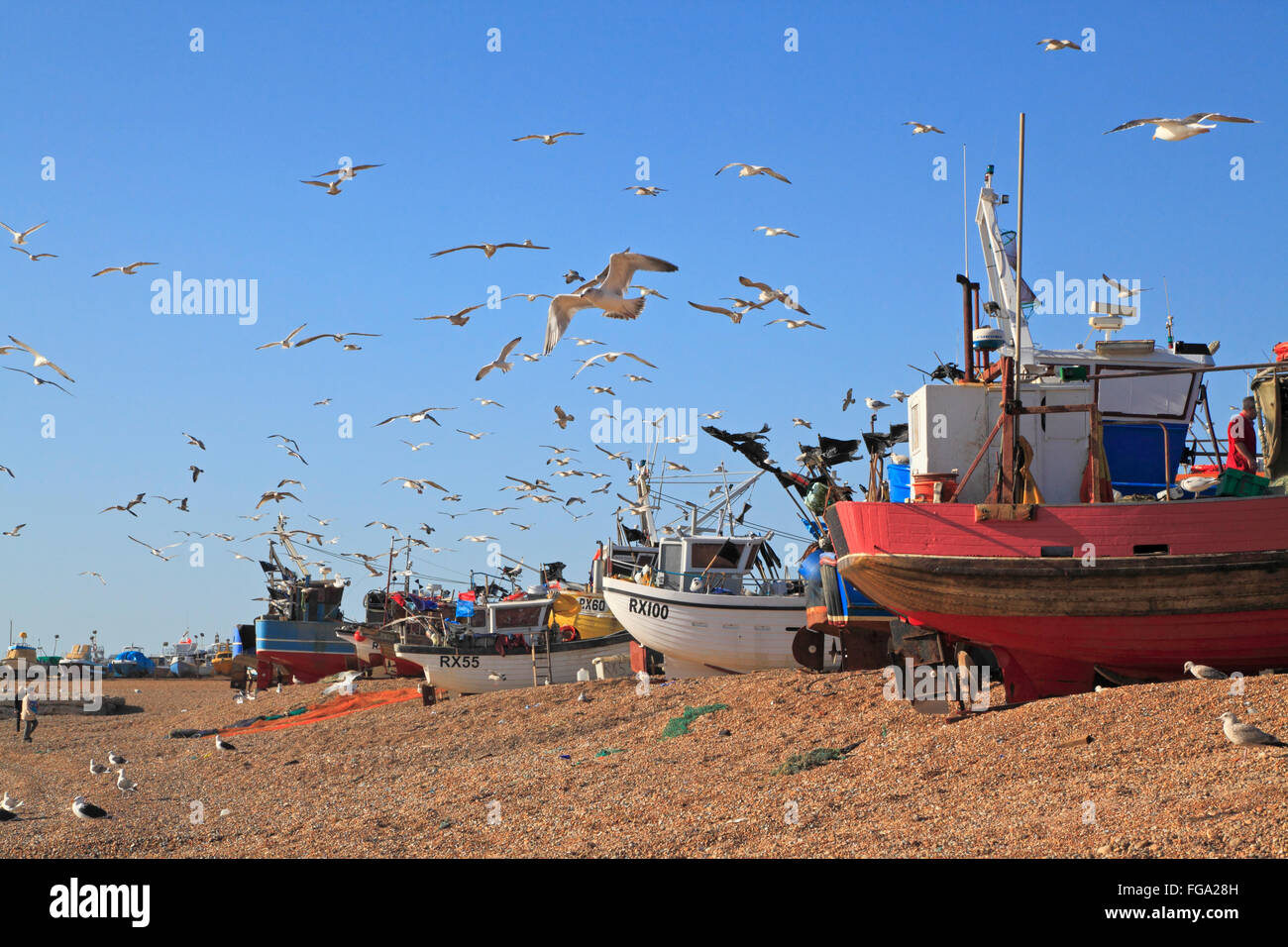 Seagulls hovering over the fishing boats on Hastings fishermen's Stade beach, East Sussex, England, GB, UK Stock Photo