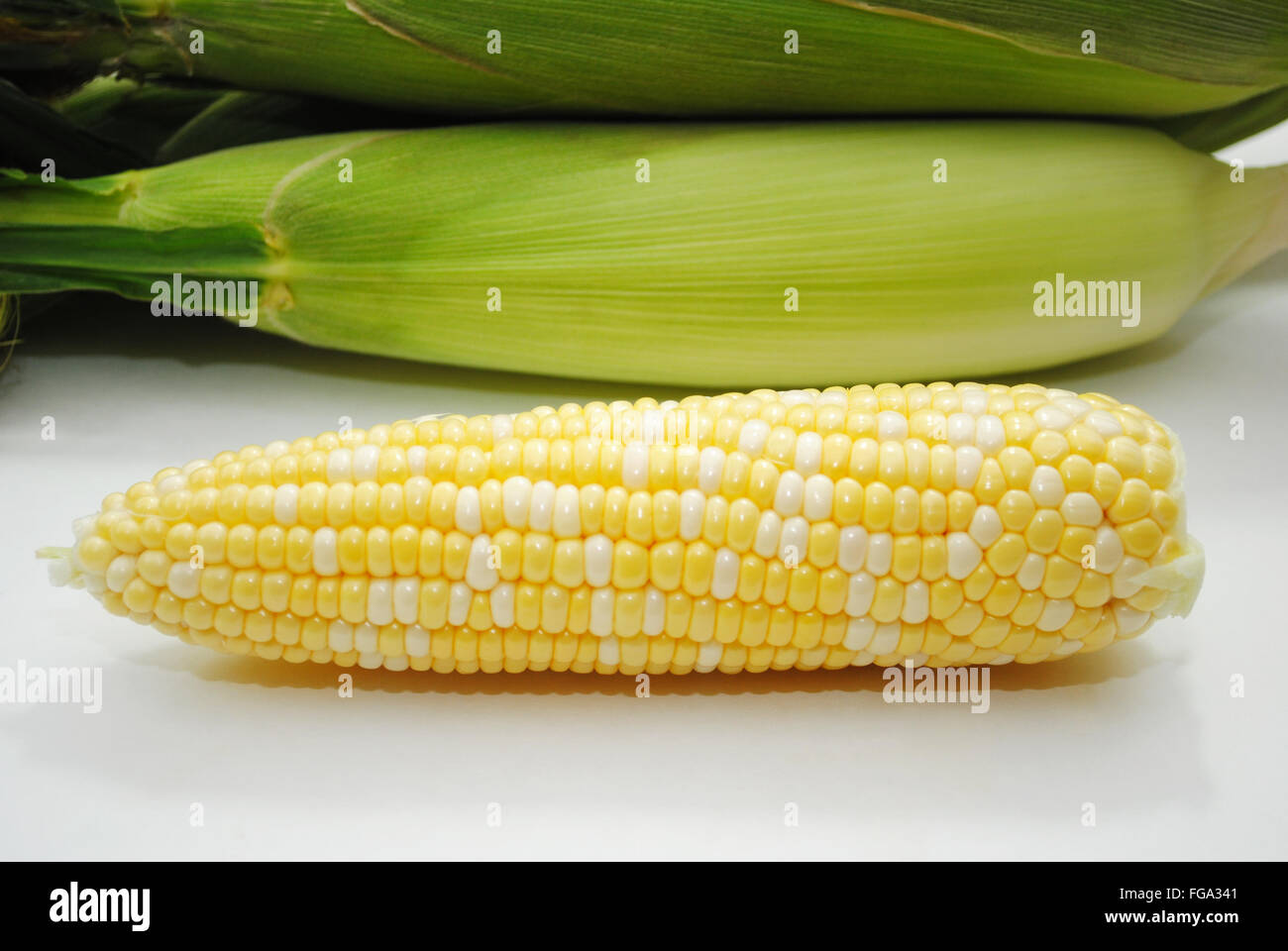 Whole Organic Corn on the Cob Harvested Stock Photo Alamy