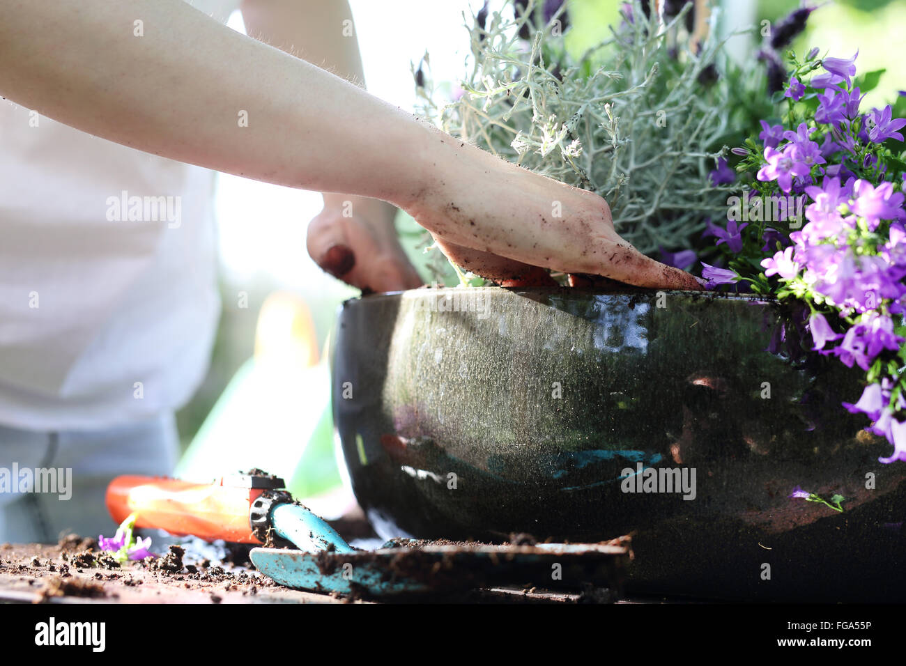 Planting, work in the garden. Female plants in pot plants forming a beautiful composition flower