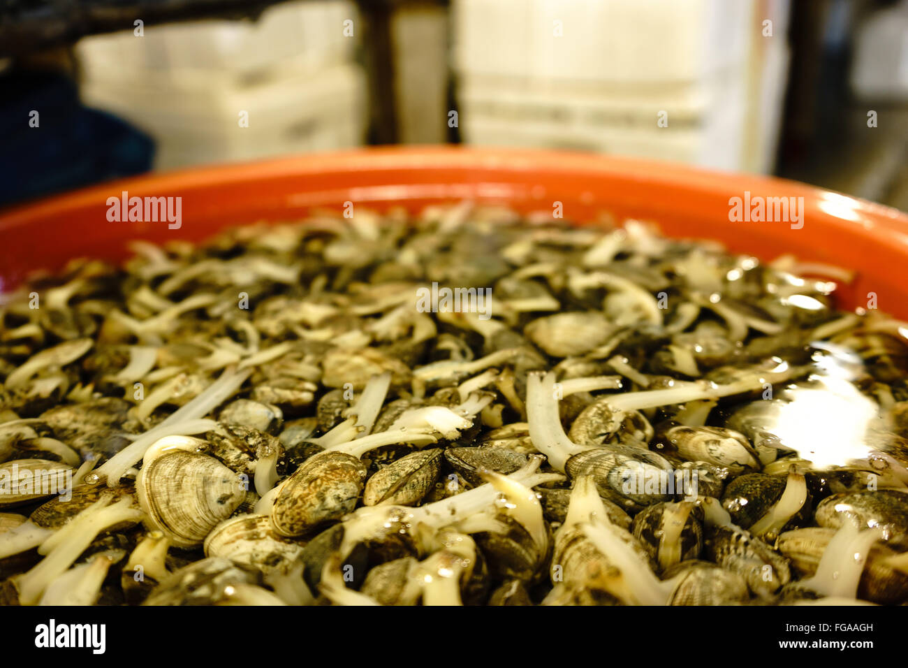 Clam fish market hires stock photography and images Alamy