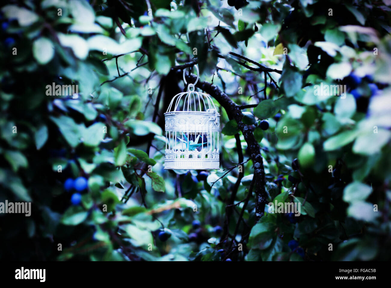 Artificial Bird In Cage Hanging High Resolution Stock Photography and
