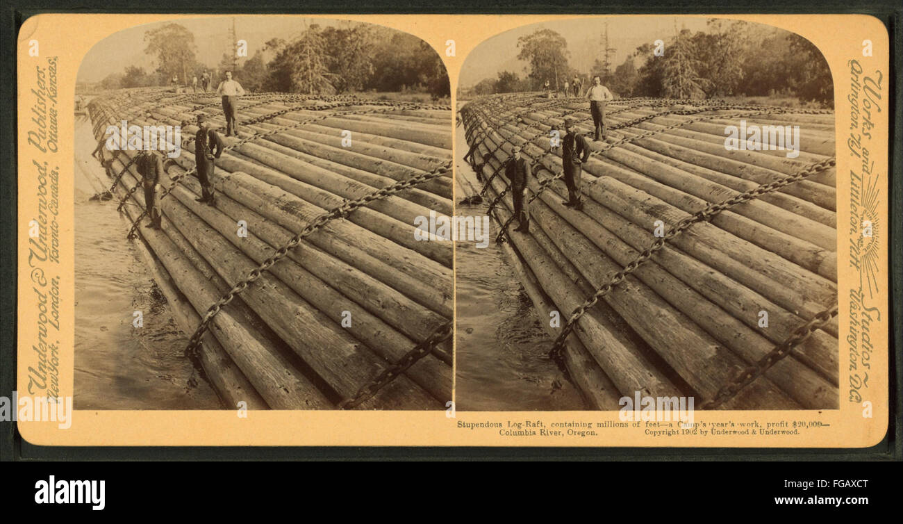 Log Raft Large This stereoscopic image shows a massive log-raft on the Columbia River ...