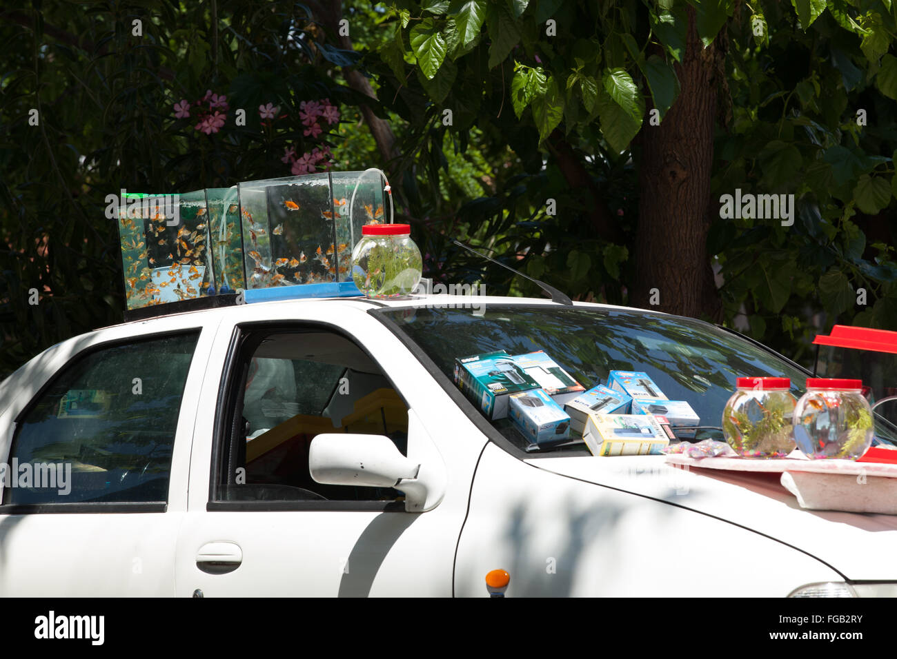 Gold fish for sale on the side of the road in a village in Turkey. Stock Photo